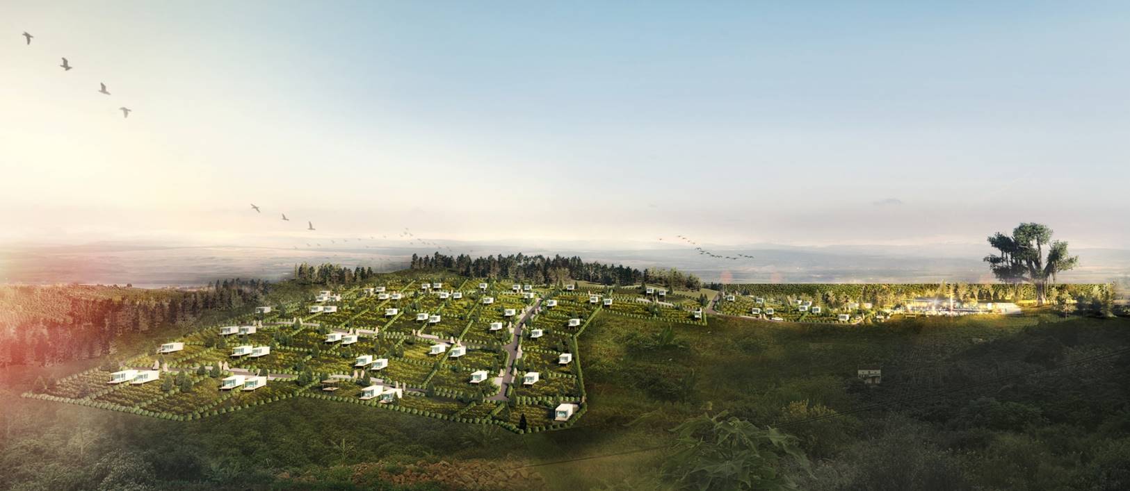 Agritopia Neighborhood